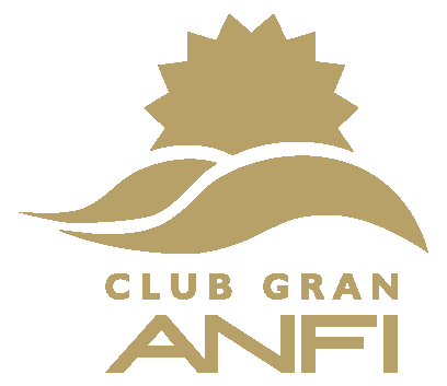 LG CGA CMYK ORO sin fondo