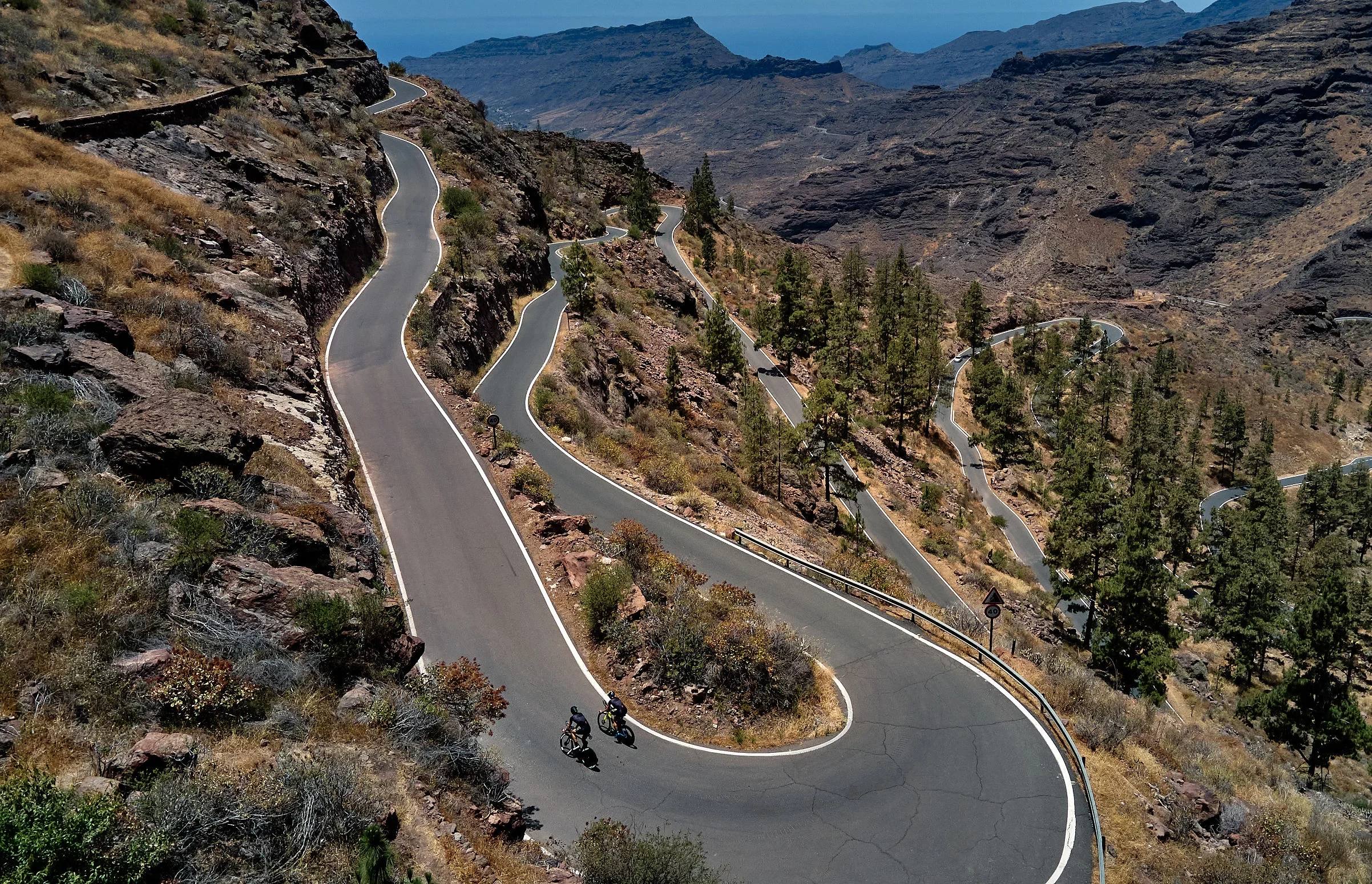 ANFI-©JMitchell-DJI_0255